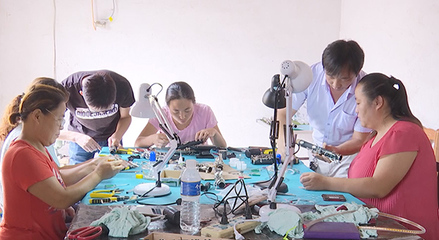 武強縣發(fā)揮黨建優(yōu)勢 傾力打造鄉(xiāng)村振興“周窩”樣板